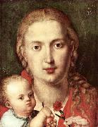 Albrecht Durer The Madonna of the Carnation oil painting artist